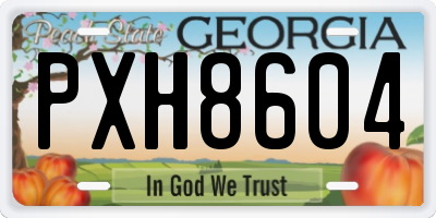 GA license plate PXH8604