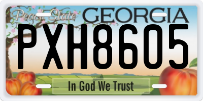 GA license plate PXH8605