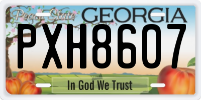 GA license plate PXH8607