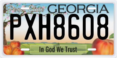 GA license plate PXH8608