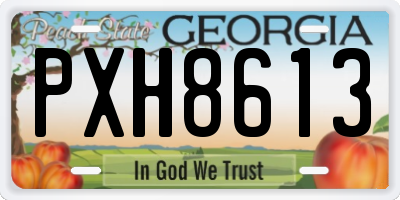 GA license plate PXH8613