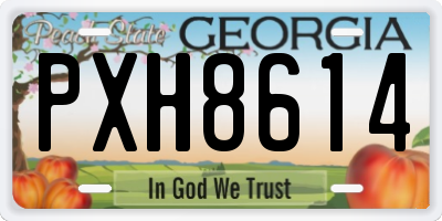 GA license plate PXH8614
