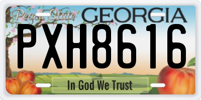 GA license plate PXH8616