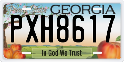 GA license plate PXH8617