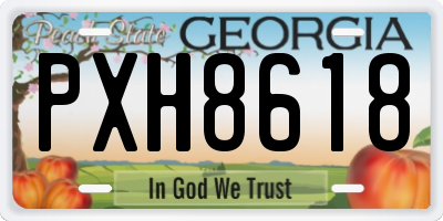 GA license plate PXH8618
