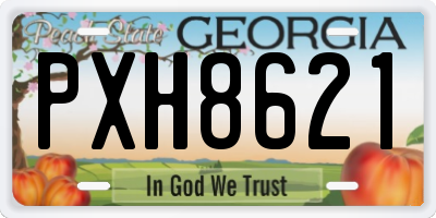 GA license plate PXH8621