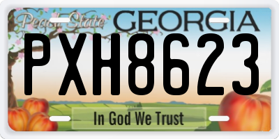 GA license plate PXH8623