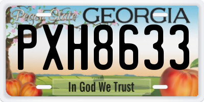 GA license plate PXH8633