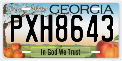 GA license plate PXH8643