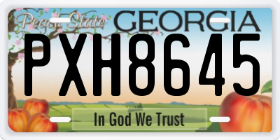GA license plate PXH8645