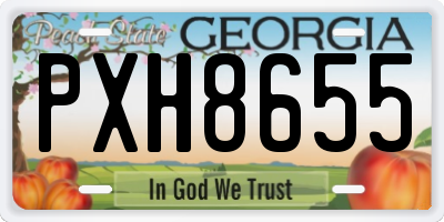 GA license plate PXH8655