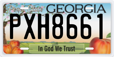 GA license plate PXH8661