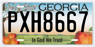 GA license plate PXH8667
