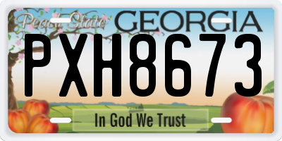 GA license plate PXH8673
