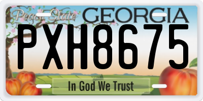 GA license plate PXH8675