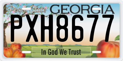 GA license plate PXH8677