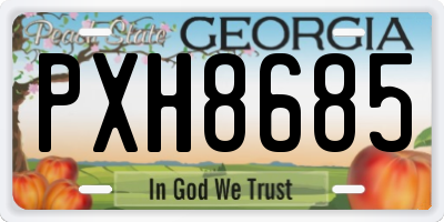 GA license plate PXH8685