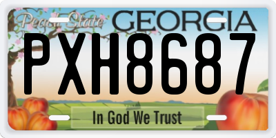 GA license plate PXH8687