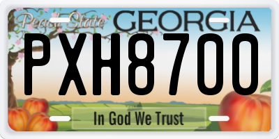 GA license plate PXH8700