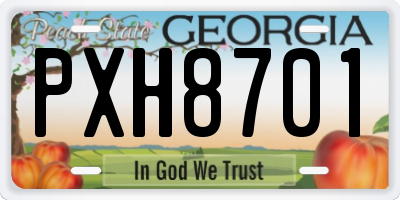 GA license plate PXH8701