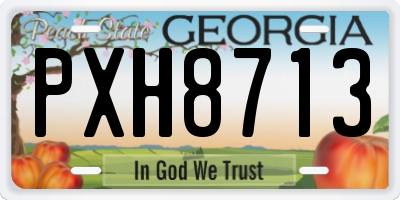 GA license plate PXH8713