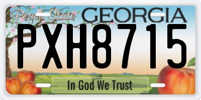 GA license plate PXH8715