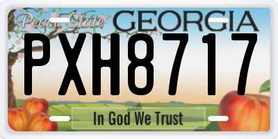 GA license plate PXH8717