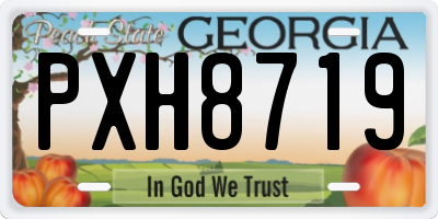 GA license plate PXH8719