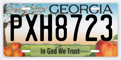GA license plate PXH8723