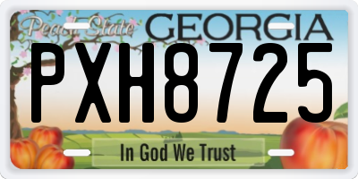 GA license plate PXH8725