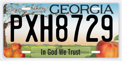 GA license plate PXH8729