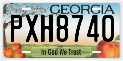 GA license plate PXH8740