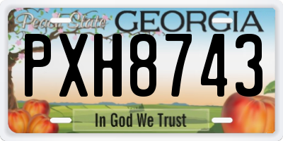 GA license plate PXH8743