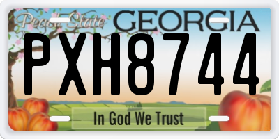 GA license plate PXH8744