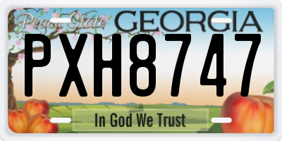 GA license plate PXH8747