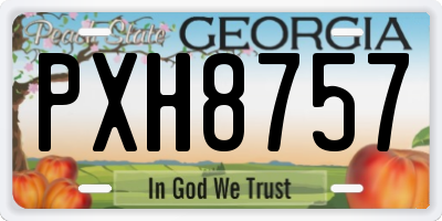 GA license plate PXH8757