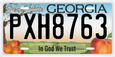 GA license plate PXH8763