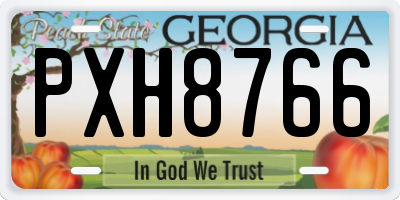 GA license plate PXH8766