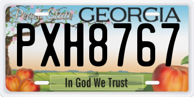 GA license plate PXH8767