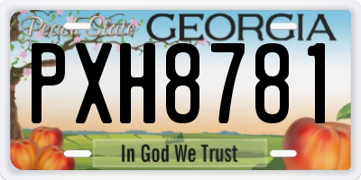 GA license plate PXH8781