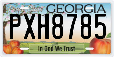 GA license plate PXH8785