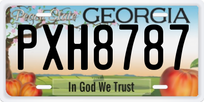 GA license plate PXH8787