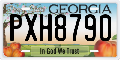 GA license plate PXH8790