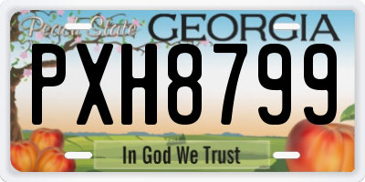 GA license plate PXH8799