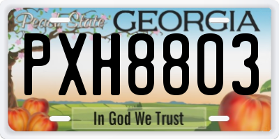 GA license plate PXH8803
