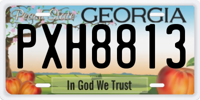 GA license plate PXH8813