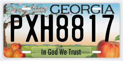 GA license plate PXH8817