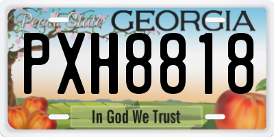 GA license plate PXH8818