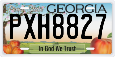 GA license plate PXH8827