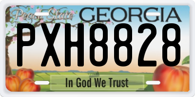 GA license plate PXH8828
